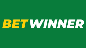 Discover the BetWinner Betting Platform A Comprehensive Guide